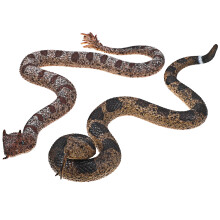 8Pcs Realistic Multi-Color Tpr Snake Toys Prank Props for Parties