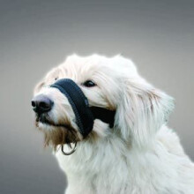 (2XL, Black) Trixie Nylon Dog Muzzle Loop