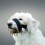 Trixie (2XL, Black) Trixie Nylon Dog Muzzle Loop 1