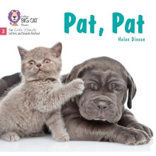 Pat Pat by Helen Dineen Paperback Book