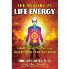 The Mystery of Life Energy by Eric Leskowitz Paperback Book