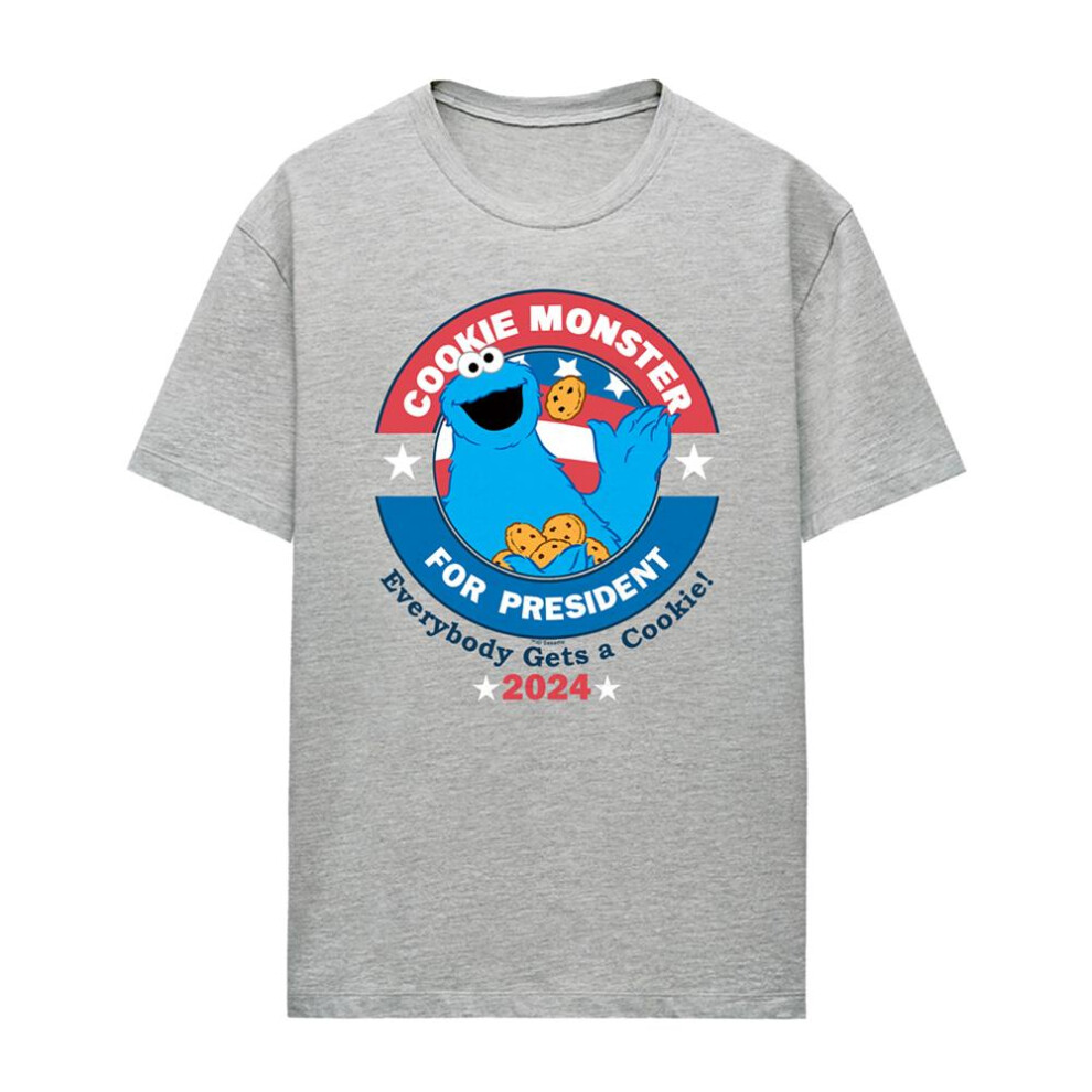 Sesame Street (Xl, Athletic Heather) Womens/Ladies Cookie For President T-Shirt Multicoloured