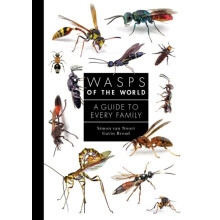 Wasps of the World by Gavin Broad Hardcover Book