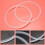 Silikonpackning TäTningsring för Tryckkokare 22 Cm Innerdiameter, 2 St, Transparent 7
