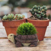 Succulent Flower Pot Resin Plant Pot Resin Succulent Pot for Office Desktop Table Ornament Hedgehog