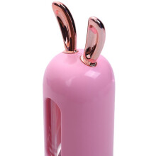New USB Rechargeable Facial Hydrator Sprayer Women Beauty Instruments Home Use Humidifier Face Steamer