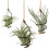 Air Pineapple Hook Hanging Flower Stand Pots Display Hanger Holder Iron 8