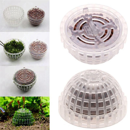 Aquatic Pet Supplies Decorations Aquarium Moss  Live Plants Filter Decor 1