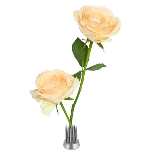 12 Peças Flower Frog, Round Stainless Floral Frogs, Flower Arranger Fixed Tool Pin Frog (Prata, 0,6 Polegadas)