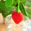 Loose Tea Silicone Tea Infuser Teapot Tools Tea Bags Kettle  Holder Herb Spice Filter 2