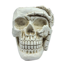Home Decoration Skull Flower Pot, Indoor Small Flower Pot, Indoor Plant Flower Pot, Garden Succulent Plant Pot(A)