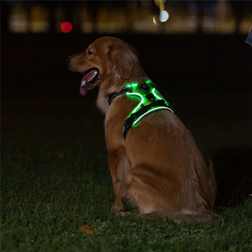 Luminous Pet Harness Luminous Dog Harness Adjustable Luminous Pet Chest Strap S 1