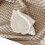 Conch Shell VäRmeljusstake, Shell Smyckesfat, Ocean Beach Tema Keramik Vit Shell Smyckesbricka 5