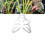 Turtle Shell Bamboo Clamp Set, Plant Stem Plastic Support, Flower-Shaped Green Plant Leaf Holder Turtle Shell Bamboo B 2
