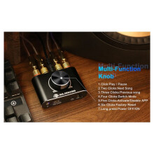 DAJUNGUO 2.0 Channel 20W+20W Amp with Remote Control Function,Supports /USB/AUX Input