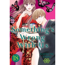 Somethings Wrong With Us 18 by Natsumi Ando Paperback Book