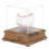 Softball Display Case, Plastic Display Holder, Clear Display  Baseball Display Case Protected Acrylic Box 2