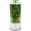 Vegetable Herb Preservator Herb Coriander Fresh-Keeping Box Breathable Herb Storage Container 2