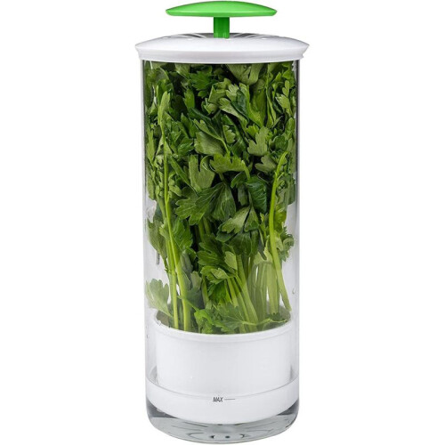 Vegetable Herb Preservator Herb Coriander Fresh-Keeping Box Breathable Herb Storage Container 1