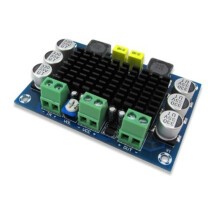 XH-M542 12-26V 100W TPA3116DA Monokanaals Digitale Audioversterker TPA3116D2-Kaart