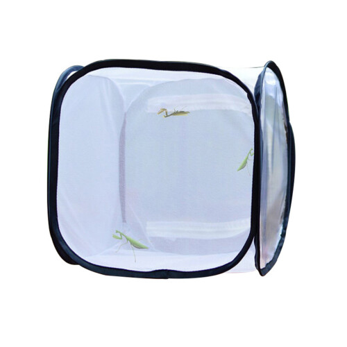 2Pièces Cage D'observation Pour Insectes Portable Enfants 1