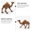 5Pcs Khaki Durable Simulation Camel Figurines Plastic Animal Ornaments 6