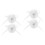 4Pièces Pompons Blancs Décoratifs Cloche Pour Rollers 6