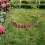 Bois Résistante Bordure Pelouse Extérieur 4