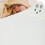 2Pièces Serviettes Bébé Multi Ultra Douces 11