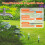 2-Way Water Timer LCD Display Timer Waterproof IP65 Home Garden Irrigation Rainfall Timer Automatic Controller System 5