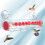 Window  Feeder,Suction Cup  Feeder for Window with Ant-Proof Feeding  and Perches 5