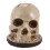 Skull Knife Holder for Kitchen Storage, Skeleton Knife Holder,Kitchen Storage  Rack Kitchen Fruit Storage Rack 1