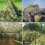 Wald-Tarnnetz, Jagd-Tarnnetz, Autoabdeckung, Markise, Camping, Schattennetze 5