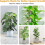 Stackable Transparent Plastic Moss Pole for Plants Monstera , Indoor Plant Accessories Support Stakes, Plant Stakes 5