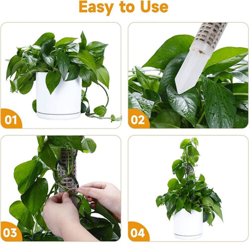 Stackable Transparent Plastic Moss Pole for Plants Monstera , Indoor Plant Accessories Support Stakes, Plant Stakes 1