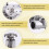 MD970338 New Water Pump for  4G63 4G64 Engine MD972457 6