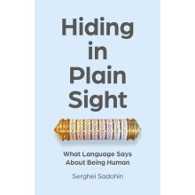Hiding in Plain Sight by Serghei Sadohin Paperback Book