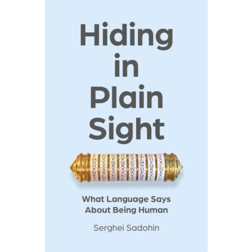 Hiding in Plain Sight by Serghei Sadohin Paperback Book