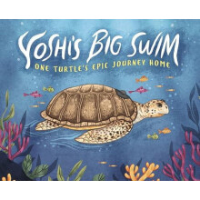 Yoshis Big Swim by Mary Wagley Copp Paperback Book
