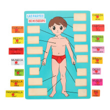 3Ensembles Puzzle Bois Corps Humain Apprentissage
