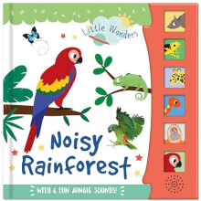 Noisy Rainforest Other Book
