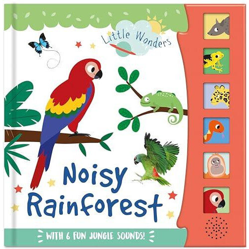 Noisy Rainforest Other Book
