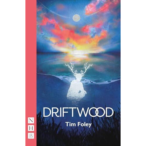 Driftwood by Tim Foley Paperback Book