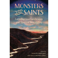 Monsters and Saints Paperback Book