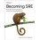 Becoming SRE by David N BlankEdelman Paperback Book 1