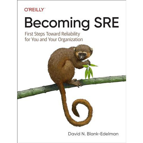 Becoming SRE by David N BlankEdelman Paperback Book