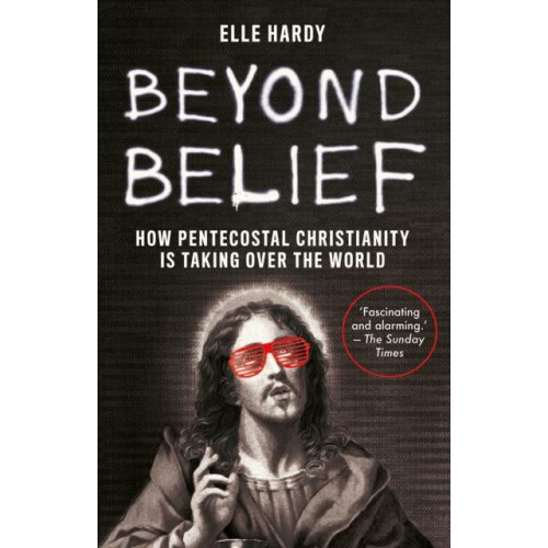 Beyond Belief by Elle Hardy Paperback Book