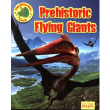 Prehistoric Flying Giants by Ruth Owen Paperback Book