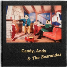 Candy Andy amp The Bearandas by Alan Dein Hardcover Book