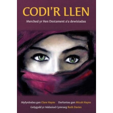 Codir Llen Merched yr Hen Destament au Dewisiadau by Clare Hayns Paper